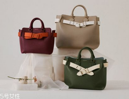 burberry the belt bag多少錢？巴寶莉貝爾特包專柜價格