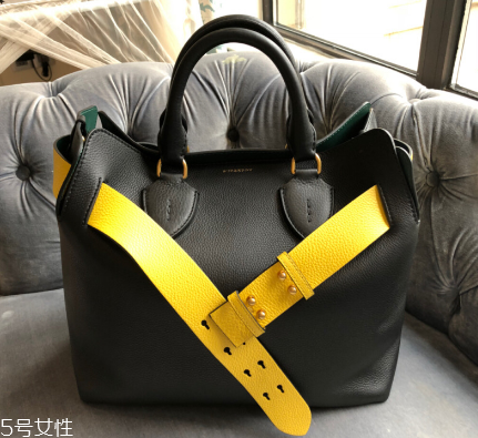 burberry the belt bag多少錢？巴寶莉貝爾特包專柜價格
