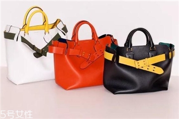 burberry the belt bag多少錢？巴寶莉貝爾特包專柜價格
