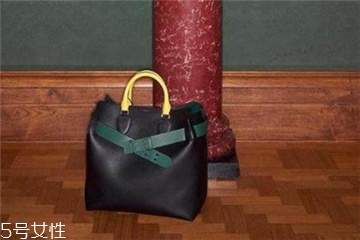 burberry the belt是什么皮？巴寶莉貝爾特包材質(zhì)