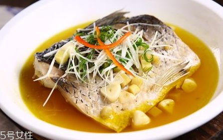 青魚怎么養(yǎng)殖?青魚好養(yǎng)嗎？