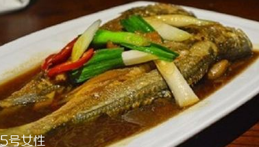 青魚是鯉魚嗎？青魚和鯉魚是不是一樣的？
