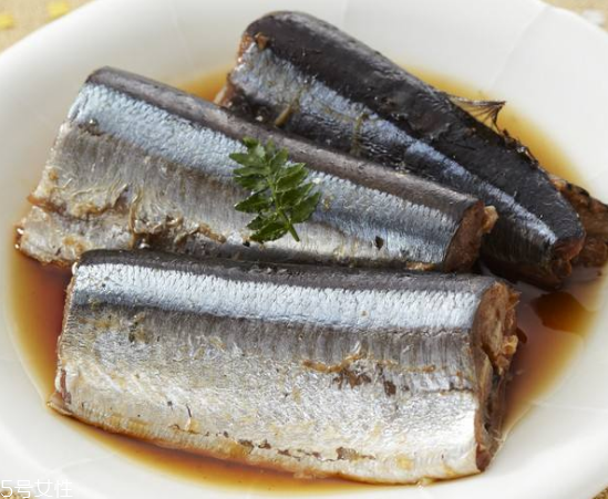 青魚怎么釣？青魚可以用什么餌料？