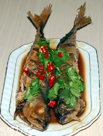 青魚(yú)能做生魚(yú)片嗎？青魚(yú)能不能生吃？
