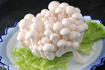 白玉菇和海鮮菇的區(qū)別 白玉菇和海鮮菇是一樣的嗎？