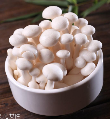 白玉菇為什么是苦的？白玉菇怎么會苦？