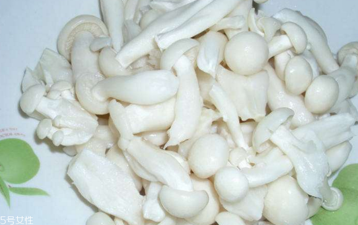 白玉菇為什么是苦的？白玉菇怎么會苦？