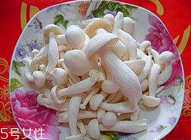 白玉菇能和西紅柿一起吃嗎？白玉菇能和番茄一起吃嗎？