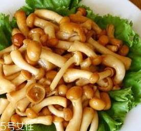 滑子菇的功效 滑子菇有什么作用？