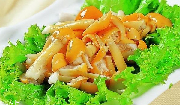 滑子菇的禁忌人群 哪些人不能吃滑子菇？