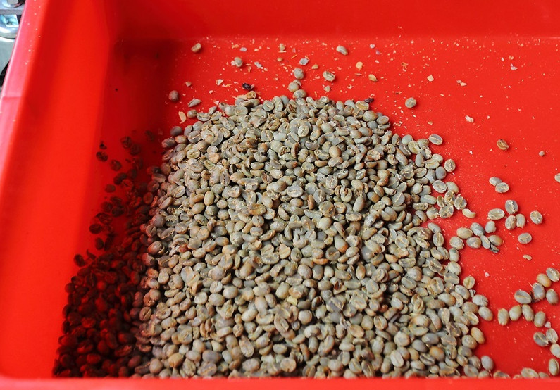 咖啡豆新豆、舊豆、老豆各有什么特色