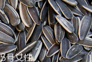 葵瓜子的熱量 葵瓜子會(huì)長胖嗎？