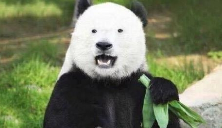 激光去黑眼圈多久恢復(fù)？激光除黑眼圈多久見(jiàn)效