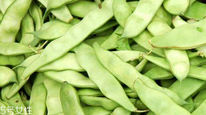 蕓豆是什么？蕓豆是豆角嗎？
