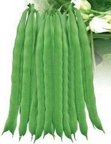 蕓豆能生吃嗎？蕓豆生吃會(huì)怎樣？