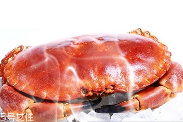 面包蟹肉多嗎？面包蟹幾月份最肥