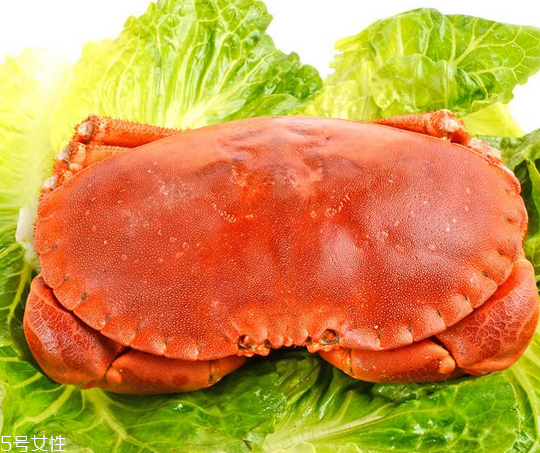 面包蟹肉多嗎？面包蟹幾月份最肥