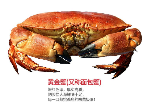 面包蟹肉多嗎？面包蟹幾月份最肥