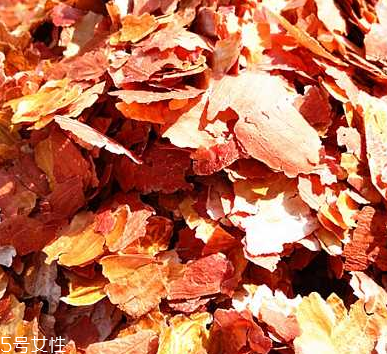 花生衣是什么？花生衣可以吃嗎？