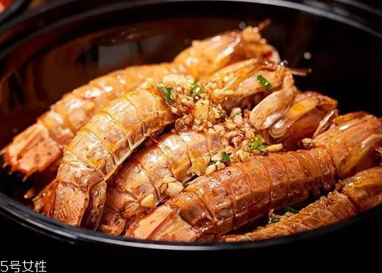 皮皮蝦能長(zhǎng)多大？皮皮蝦最大有多大？