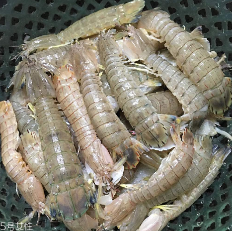 皮皮蝦能和櫻桃一起吃嗎？皮皮蝦和櫻桃可以同吃嗎？