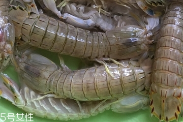 皮皮蝦皮能不能吃？皮皮蝦可以連皮吃嗎？
