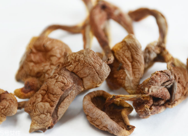 榛蘑和蘿卜相克嗎？榛蘑能不能和蘿卜一起吃？