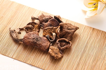 榛蘑是蘑菇嗎？榛蘑是什么蘑菇？