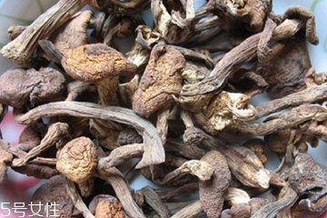榛蘑和木耳的區(qū)別 榛蘑和木耳能一起吃嗎？
