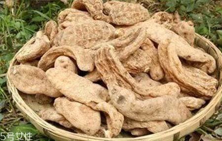 榛蘑和天麻的關(guān)系 榛蘑和天麻有什么聯(lián)系？