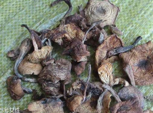 榛蘑能保存多久？干榛蘑怎么保存最好？
