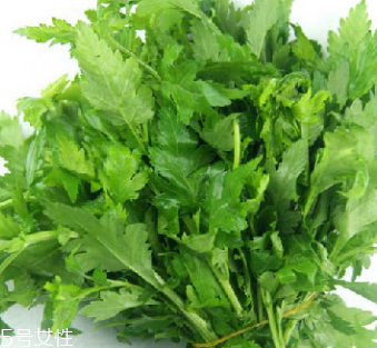 菊花腦是苦的嗎？菊花腦苦不苦？