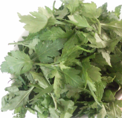 菊花腦怎么挑選？菊花腦選購(gòu)技法