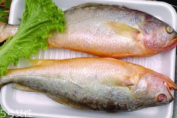 黃花魚是發(fā)物嗎？黃花魚是涼性的嗎？