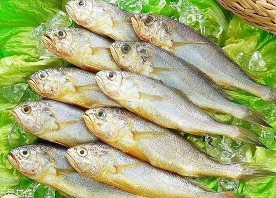 黃花魚去鱗嗎？黃花魚去內(nèi)臟嗎？