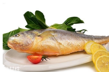 黃花魚為什么都是死的？死黃花魚可以吃嗎？
