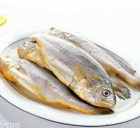 黃花魚(yú)為什么都是死的？死黃花魚(yú)可以吃嗎？
