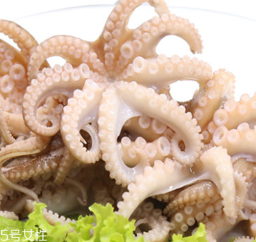 章魚是什么顏色？章魚是什么樣子？