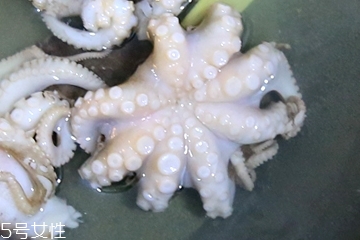 章魚會噴墨汁嗎？章魚的墨汁能吃嗎？