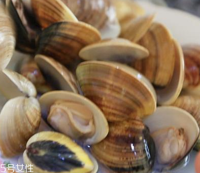 文蛤是海鮮還是河鮮？文蛤是海鮮嗎？