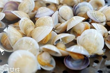 文蛤是淡水還是海水？文蛤是淡水水產(chǎn)嗎？
