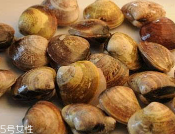 文蛤是冷水煮還是熱水？文蛤是用熱水嗎？