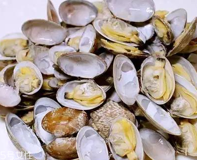 文蛤能做湯嗎？文蛤怎么做湯？