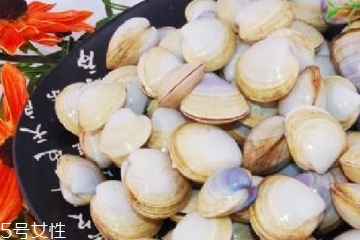文蛤能放在冰箱里嗎?文蛤怎么保存？