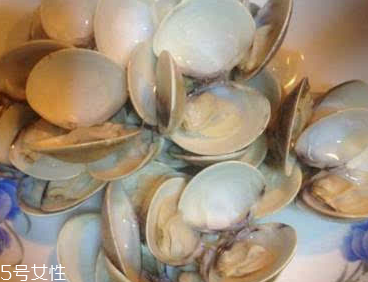 文蛤能給孕婦吃嗎？孕婦能不能吃文蛤？