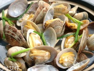 文蛤的養(yǎng)殖 文蛤怎么養(yǎng)？