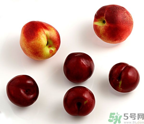 李子和灰子的區(qū)別？灰子的功效與作用