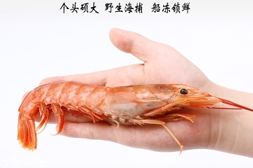 阿根廷紅蝦為什么便宜？阿根廷紅蝦有假的嗎？
