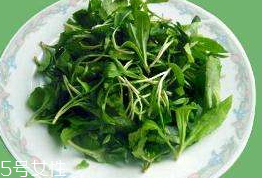 馬蘭頭對人的好處？馬蘭頭有什么好處？