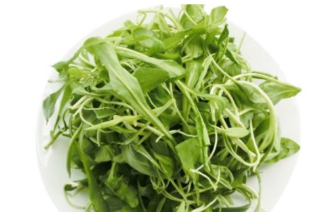 馬蘭頭是馬齒莧嗎？馬蘭頭和馬齒莧的區(qū)別